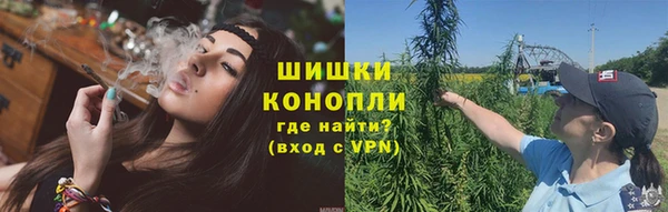 PSILOCYBIN Армянск