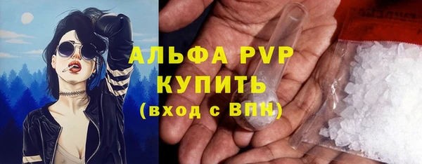 PSILOCYBIN Армянск