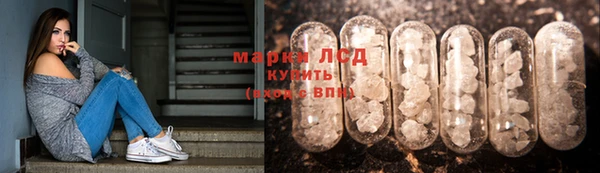 PSILOCYBIN Армянск