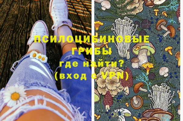 дживик Арсеньев