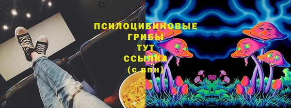 дживик Арсеньев