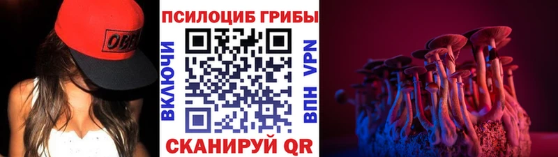хочу   Сертолово  Псилоцибиновые грибы мицелий 